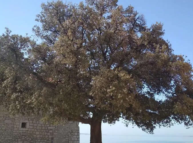 Old Town Rab Panzió